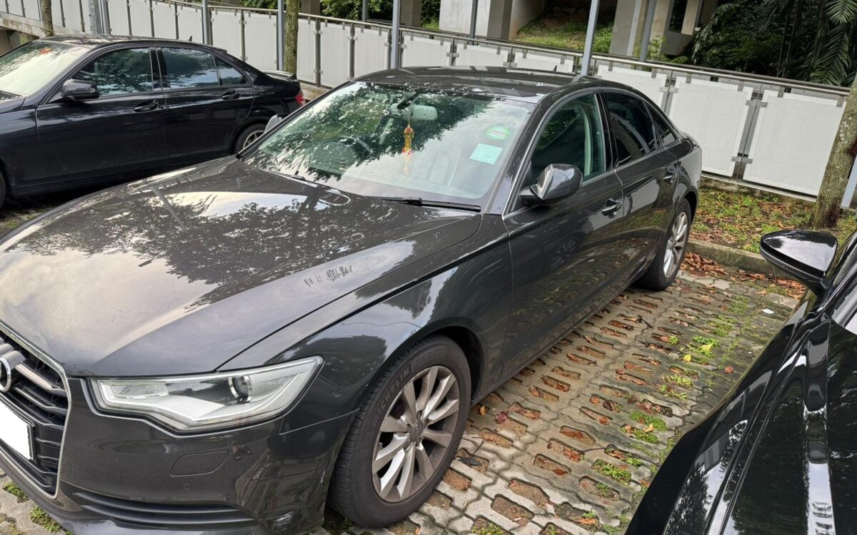 WhatsApp Image 2024-11-18 at 6.39.55 PM