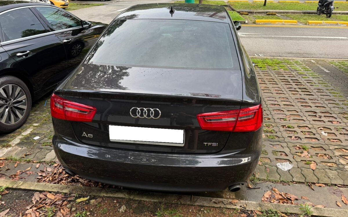 WhatsApp Image 2024-11-18 at 6.39.56 PM (1)