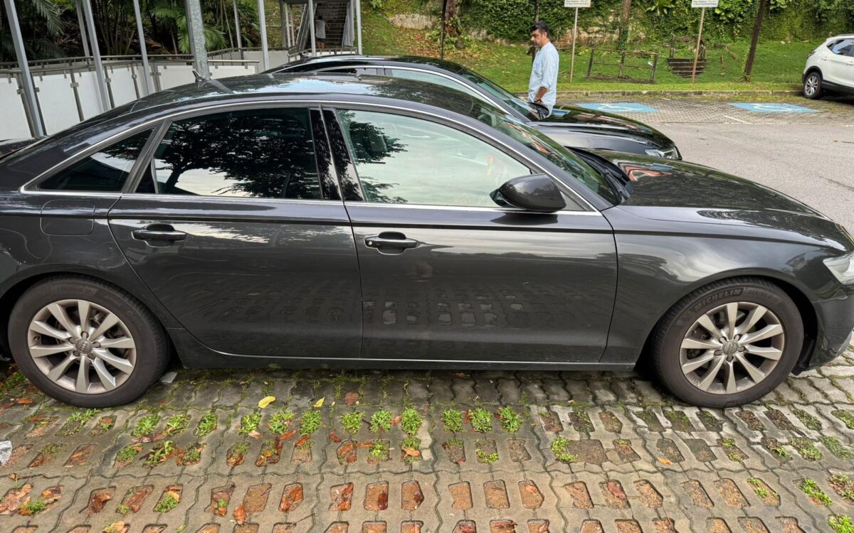 WhatsApp Image 2024-11-18 at 6.39.56 PM