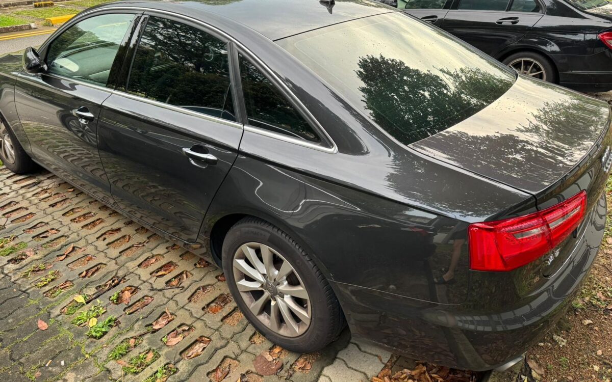 WhatsApp Image 2024-11-18 at 6.39.57 PM (1)