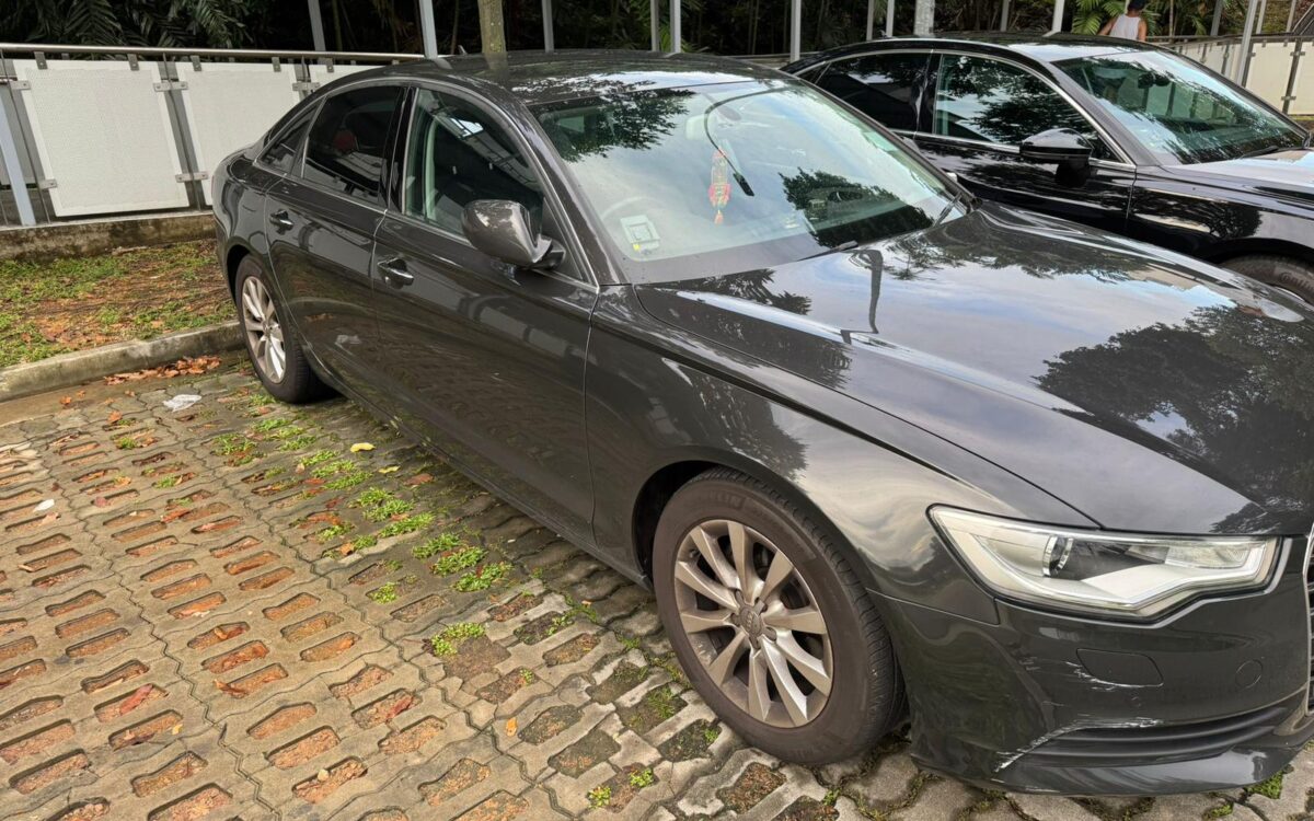 WhatsApp Image 2024-11-18 at 6.39.57 PM