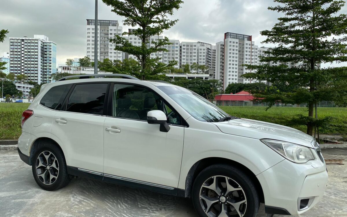 WhatsApp Image 2024-11-22 at 11.39.30 PM