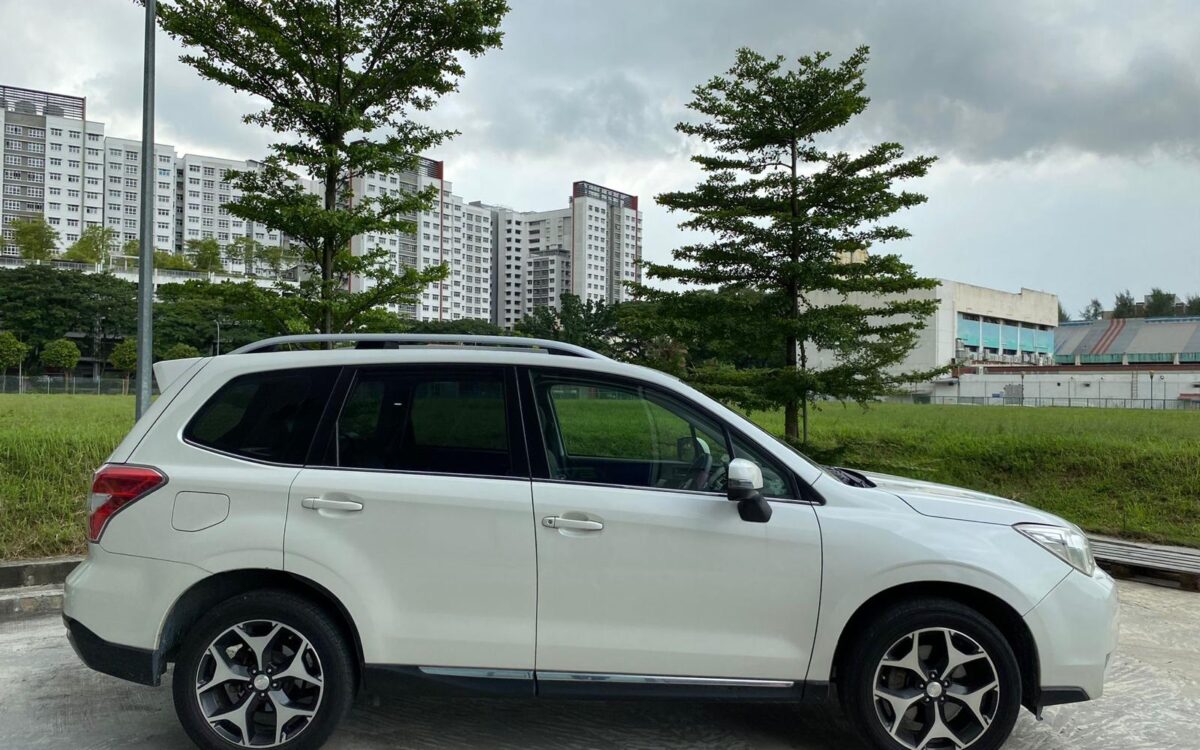 WhatsApp Image 2024-11-22 at 11.39.31 PM