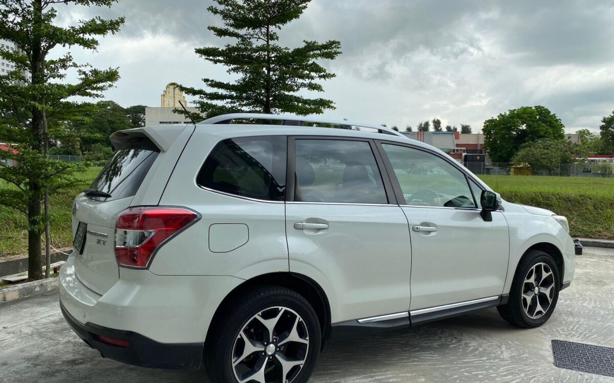 WhatsApp Image 2024-11-22 at 11.39.33 PM