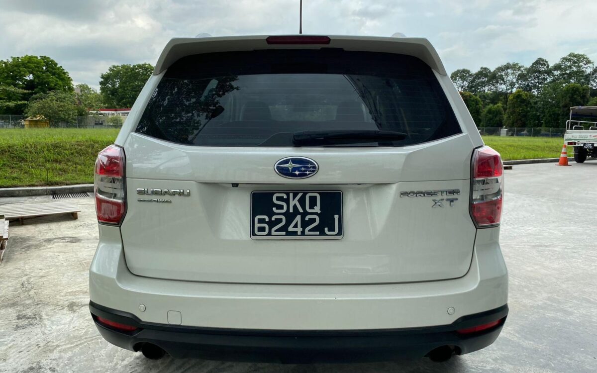 WhatsApp Image 2024-11-22 at 11.39.35 PM