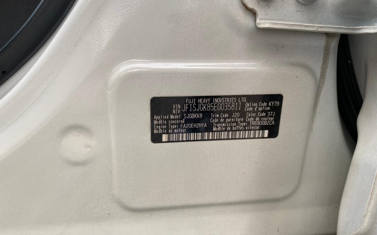 WhatsApp Image 2024-11-22 at 11.40.38 PM