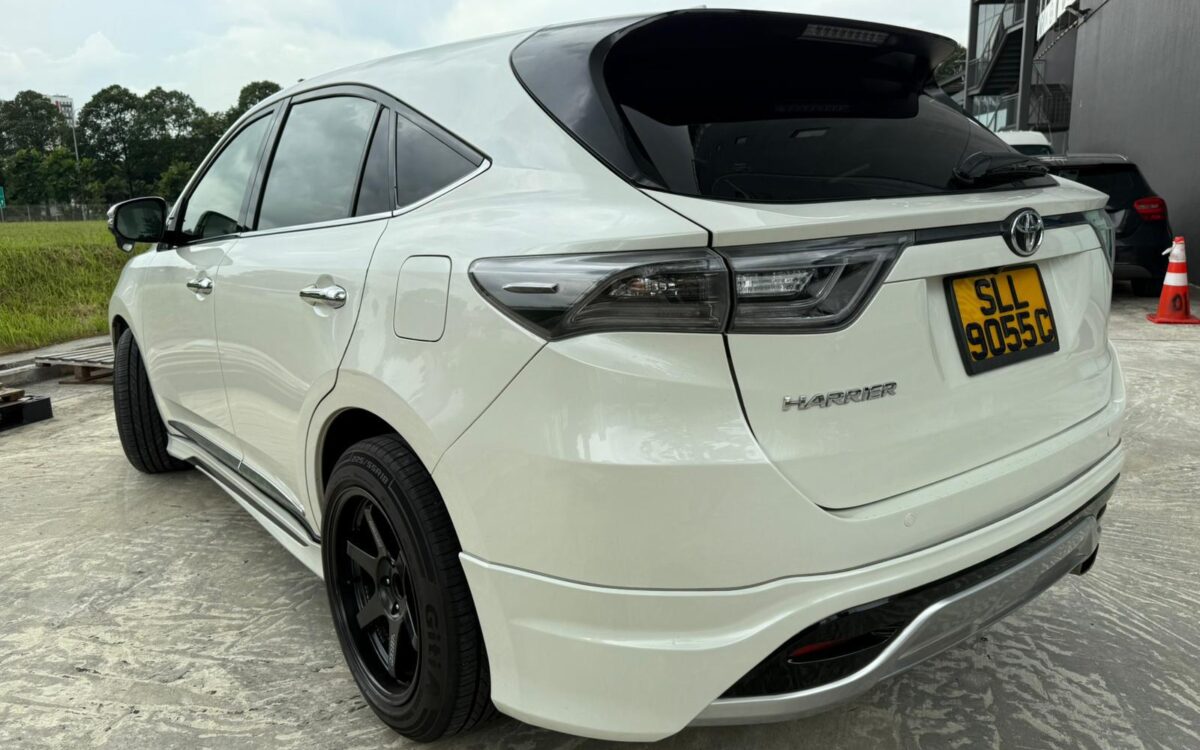 WhatsApp Image 2024-11-22 at 6.05.27 PM (1)