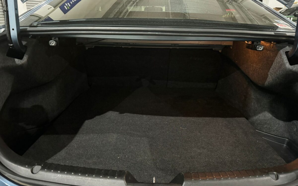 WhatsApp Image 2024-11-26 at 2.50.06 PM