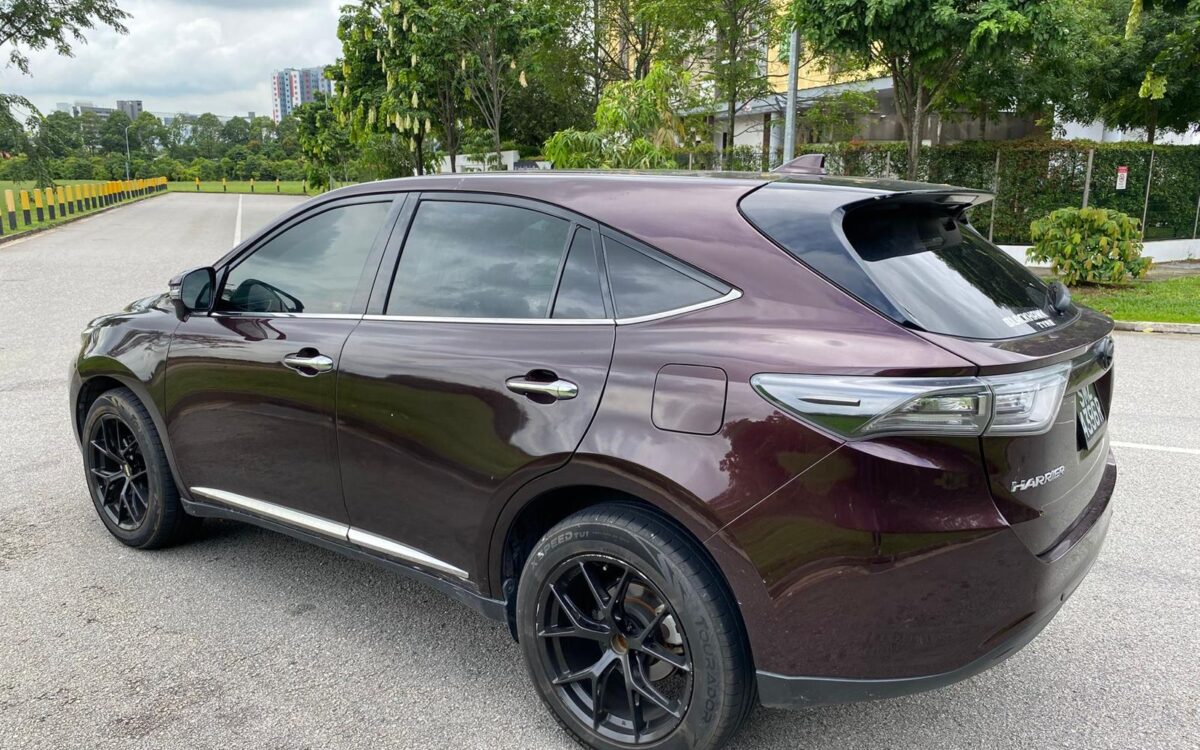 WhatsApp Image 2024-11-27 at 1.00.21 PM (1)