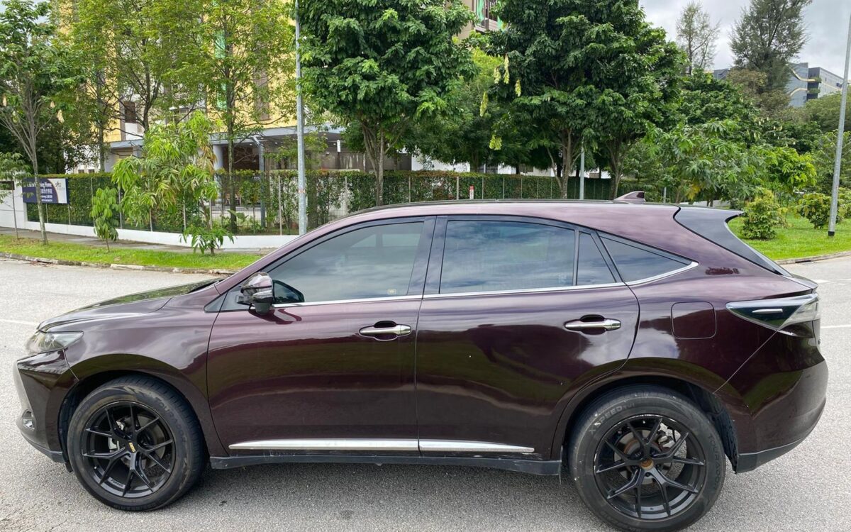 WhatsApp Image 2024-11-27 at 1.00.21 PM (2)