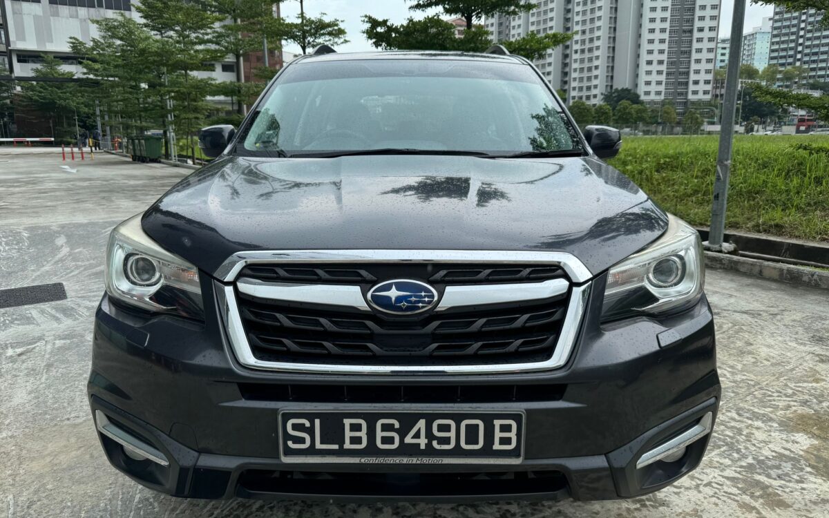 WhatsApp Image 2024-11-27 at 12.32.47 PM (1)