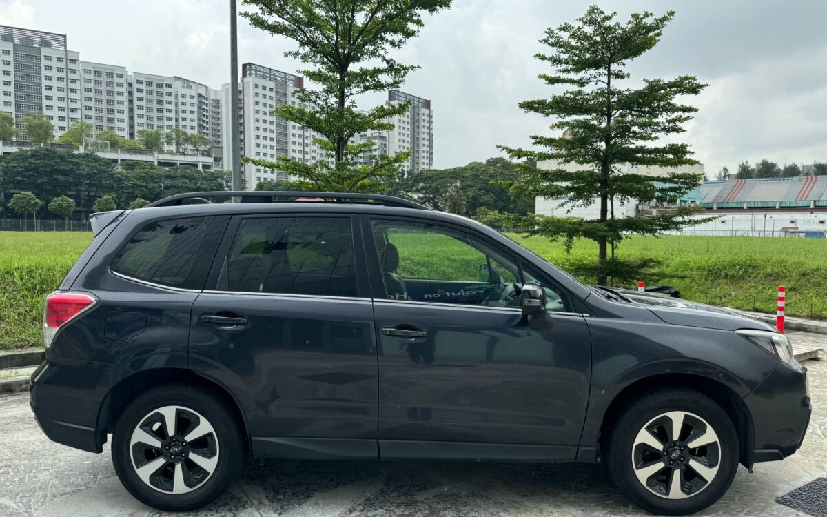 WhatsApp Image 2024-11-27 at 12.32.48 PM (1)