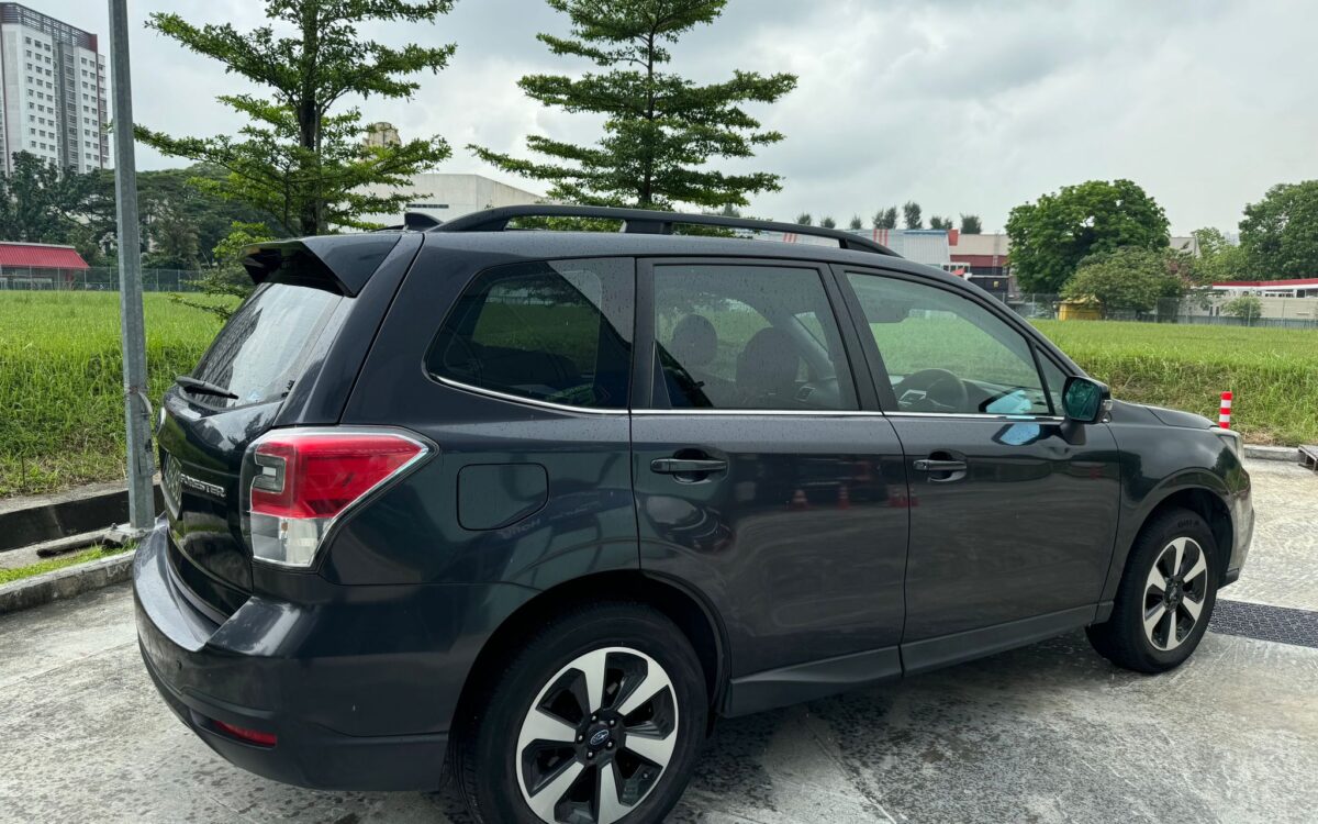 WhatsApp Image 2024-11-27 at 12.32.48 PM (2)