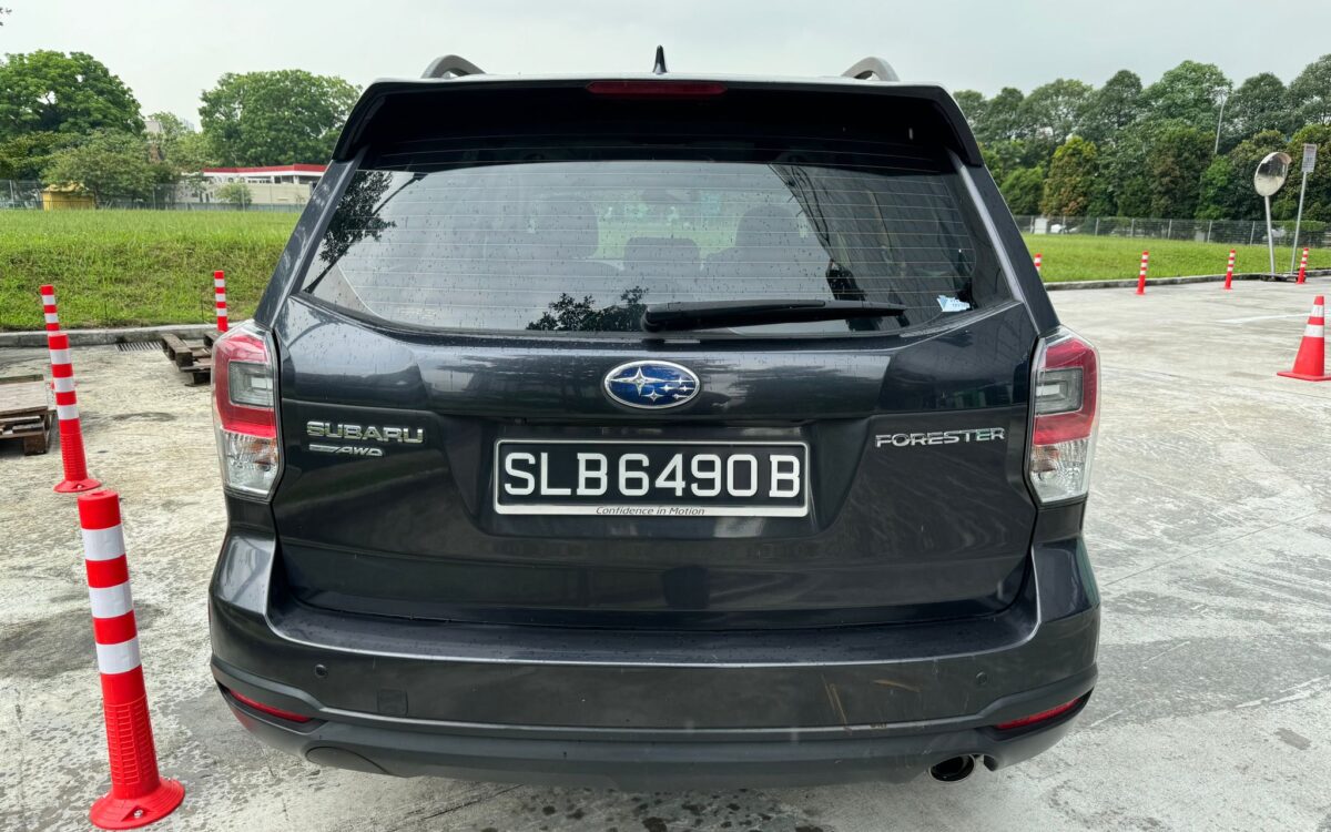 WhatsApp Image 2024-11-27 at 12.32.48 PM (3)