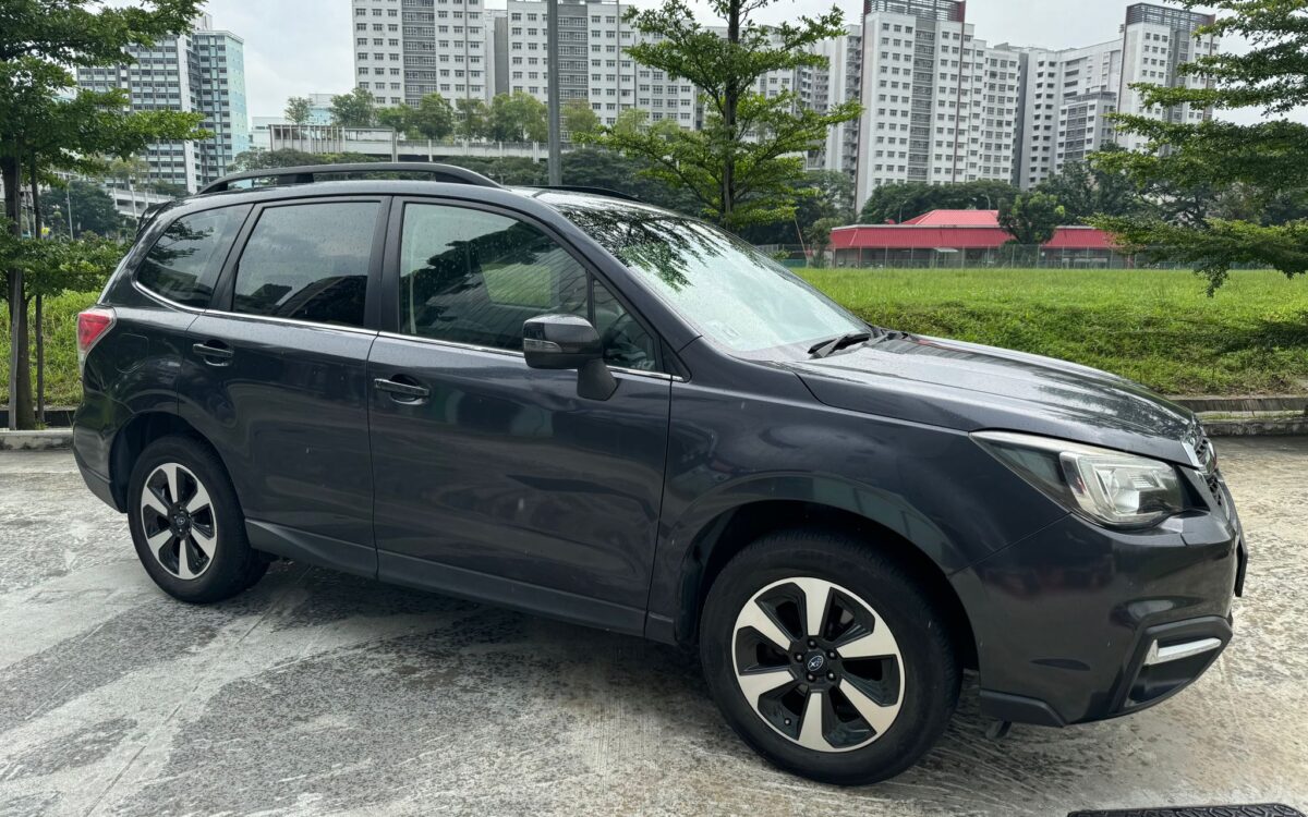 WhatsApp Image 2024-11-27 at 12.32.48 PM