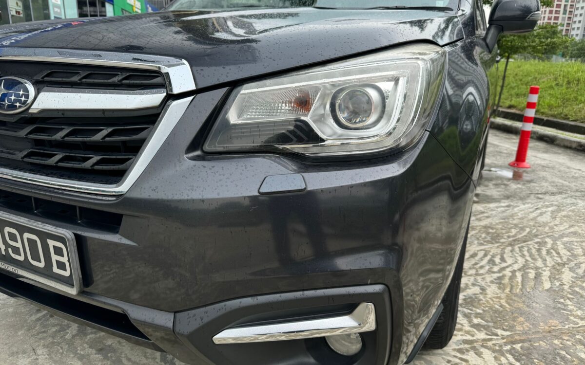 WhatsApp Image 2024-11-27 at 12.32.49 PM (1)