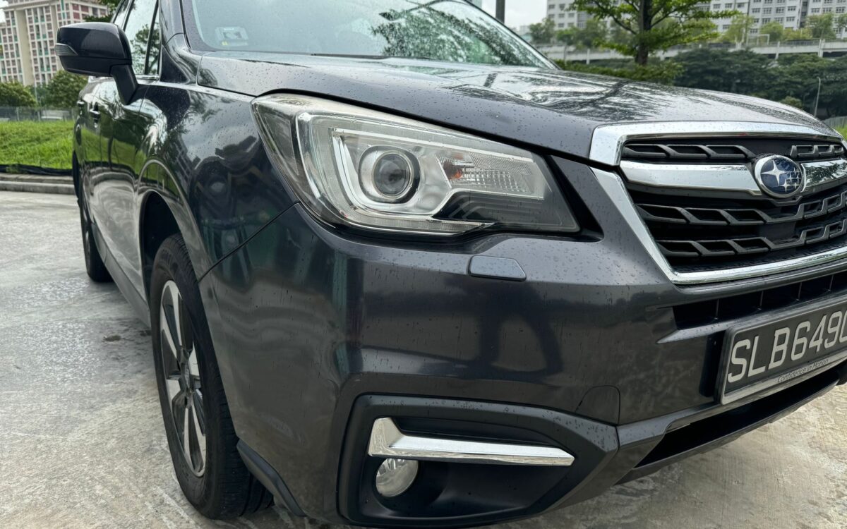 WhatsApp Image 2024-11-27 at 12.32.49 PM (2)