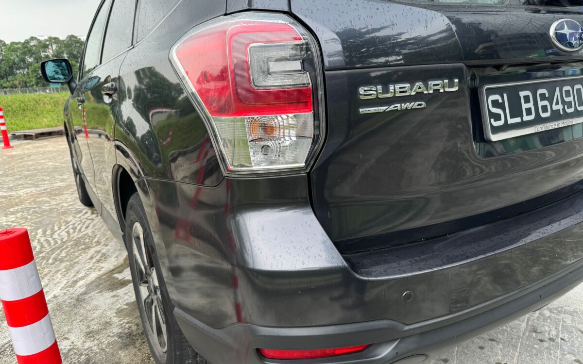 WhatsApp Image 2024-11-27 at 12.32.50 PM (1)