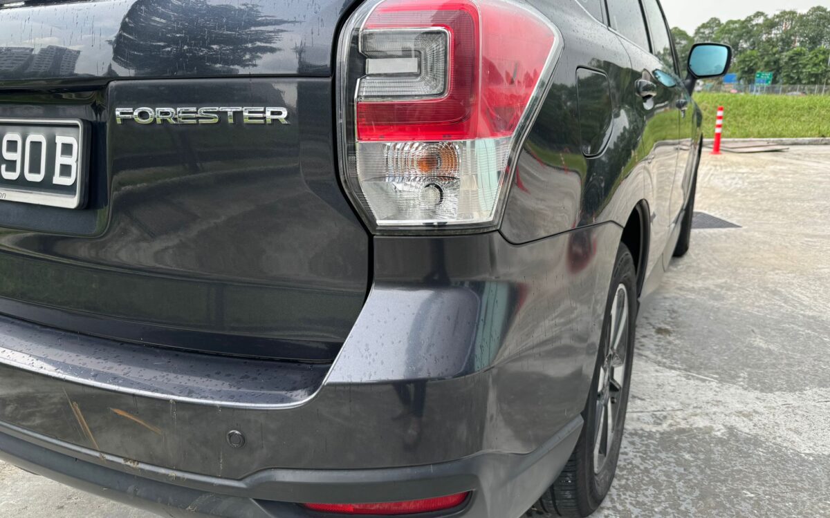 WhatsApp Image 2024-11-27 at 12.32.50 PM