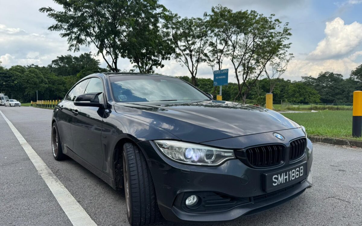 BMW 428i Gran Coupe (2)