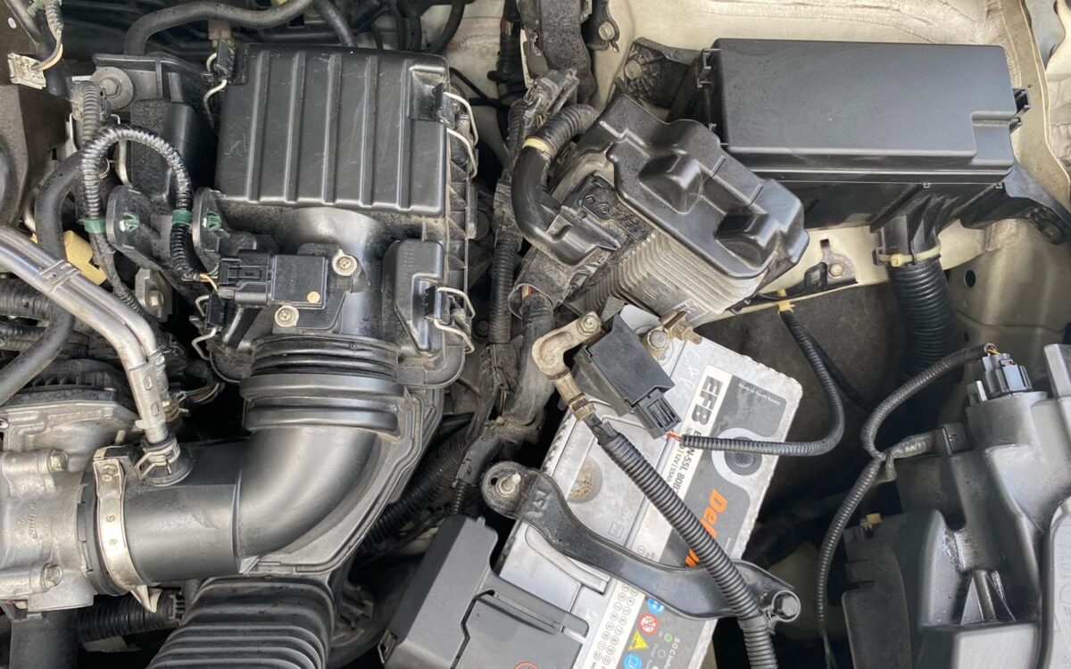 WhatsApp Image 2024-12-09 at 3.28.52 PM (2)