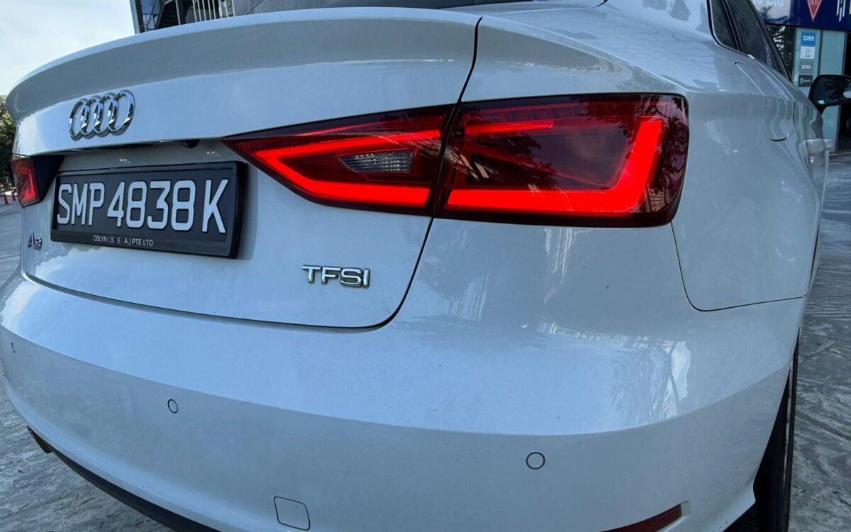 WhatsApp Image 2024-12-09 at 6.58.07 PM (1)