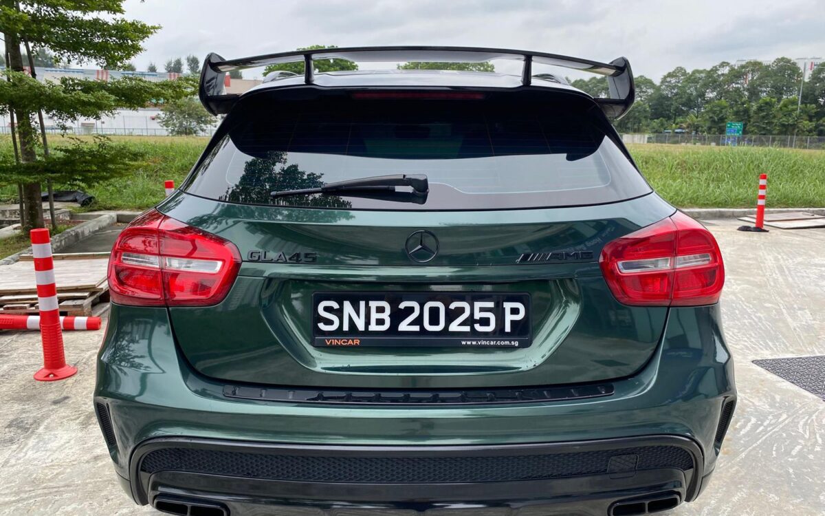 WhatsApp Image 2024-12-12 at 3.37.10 PM