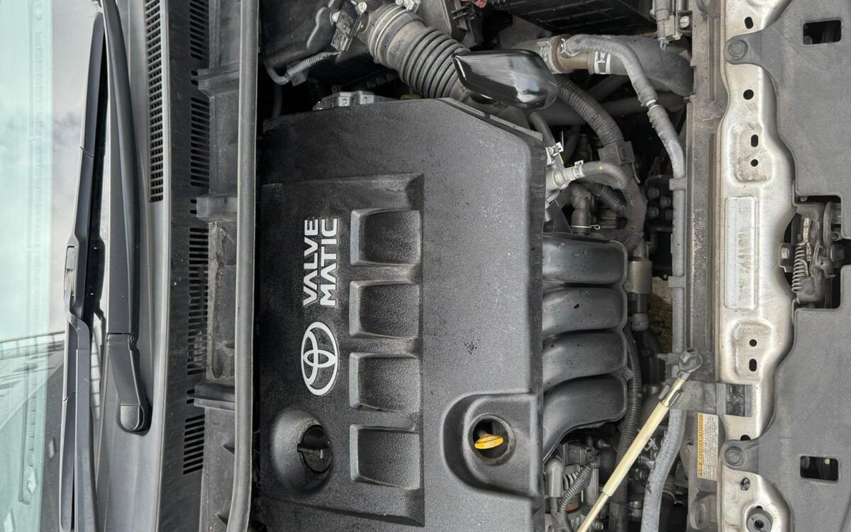 WhatsApp Image 2024-12-13 at 10.30.35 PM