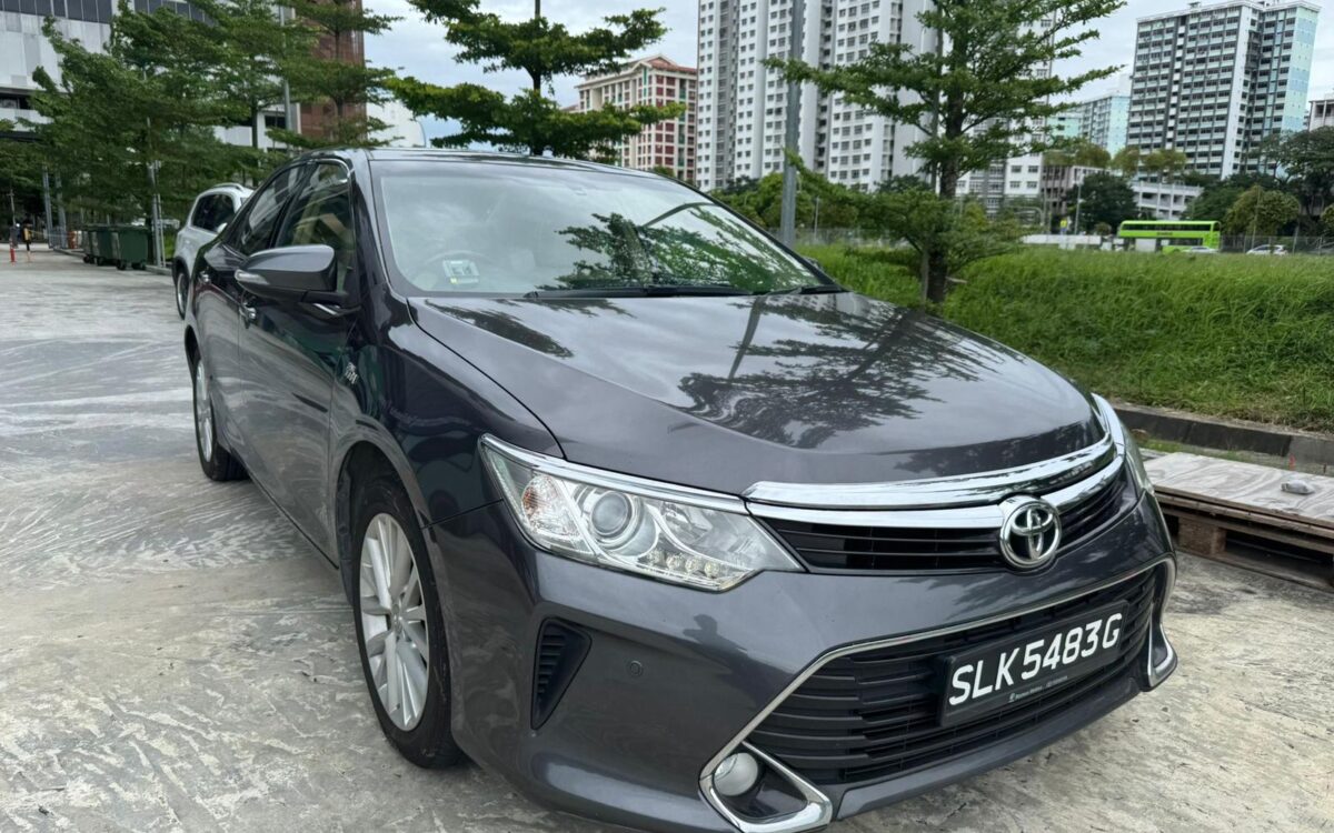 WhatsApp Image 2024-12-13 at 10.45.55 PM