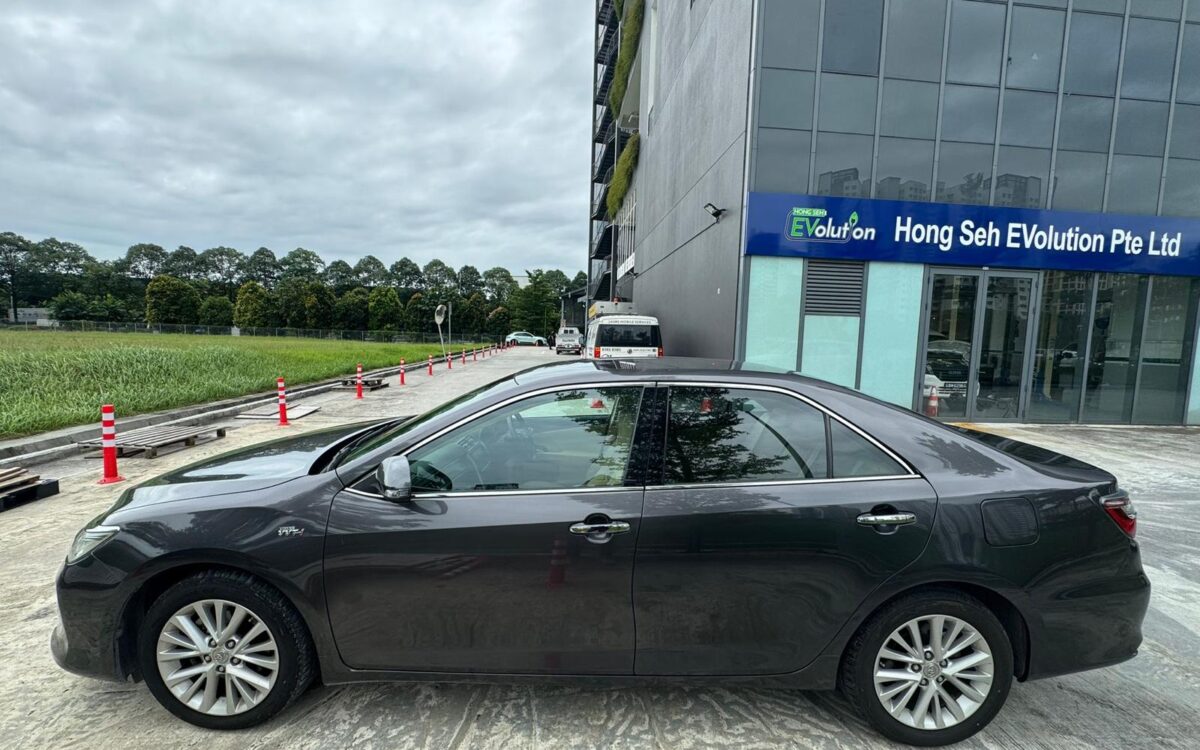 WhatsApp Image 2024-12-13 at 10.46.01 PM (1)