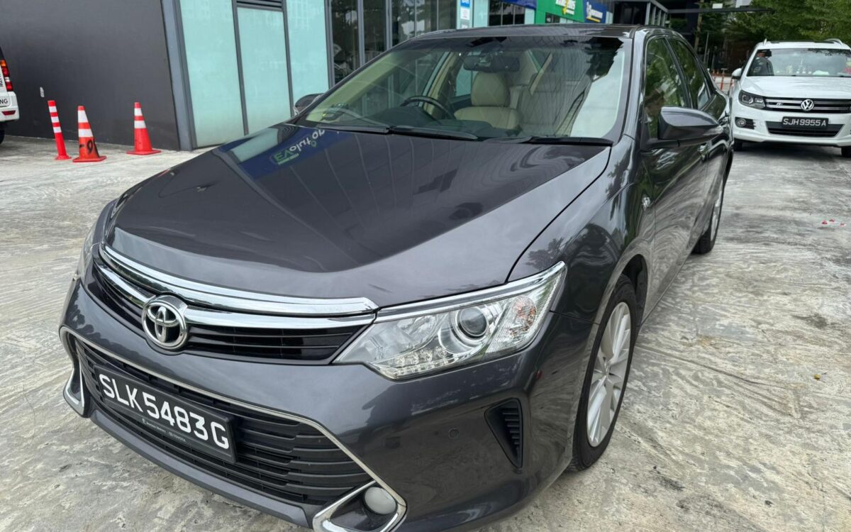 WhatsApp Image 2024-12-13 at 10.46.01 PM