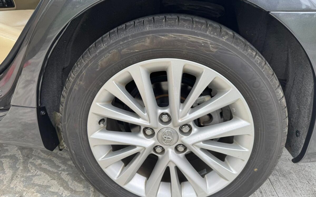 WhatsApp Image 2024-12-13 at 10.46.03 PM (1)