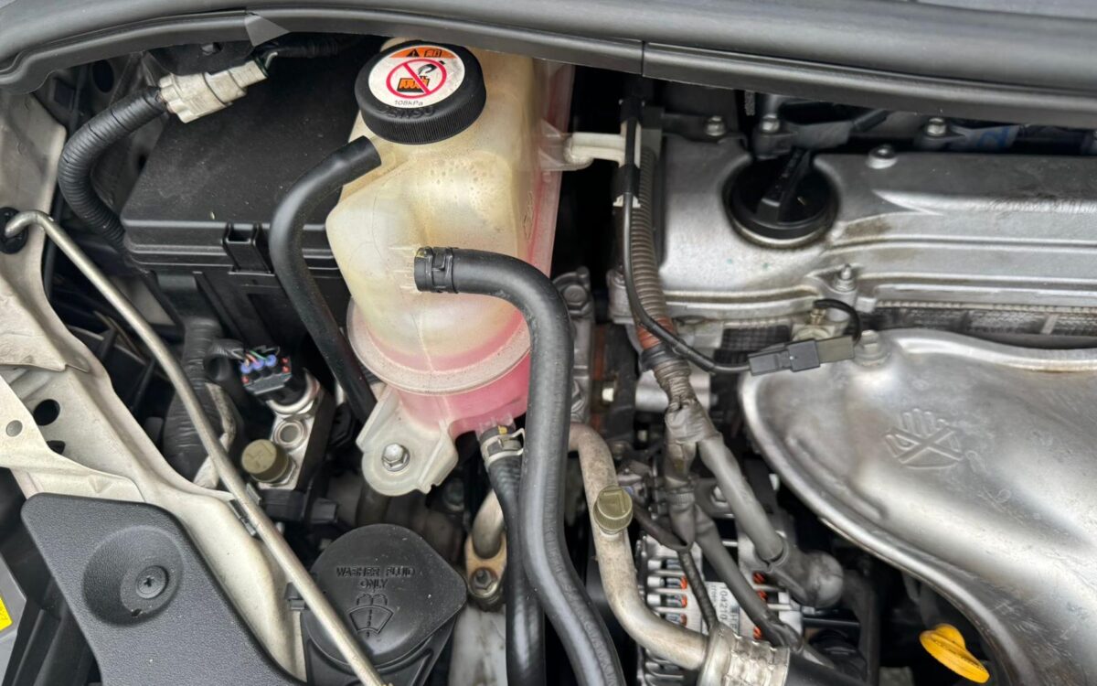 WhatsApp Image 2024-12-13 at 10.56.10 PM (2)