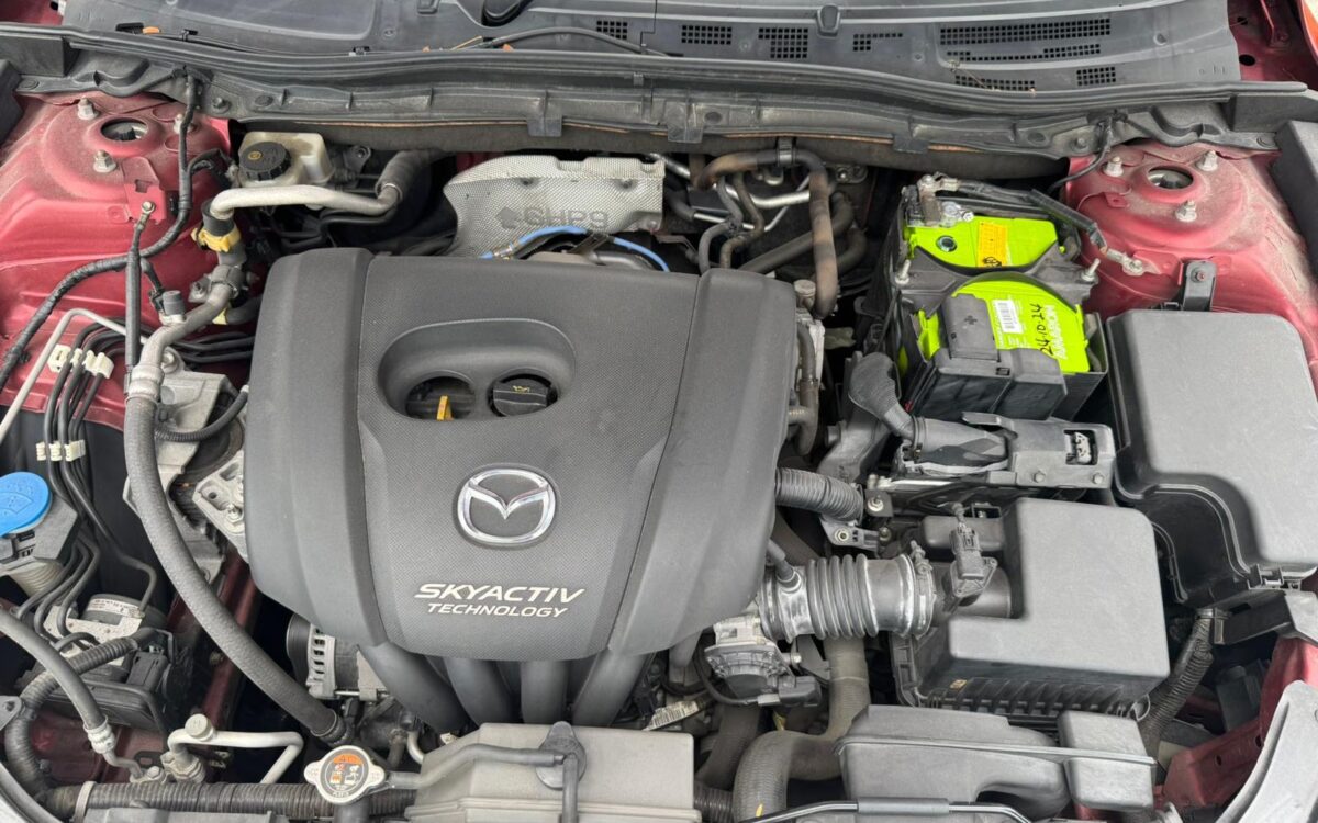 WhatsApp Image 2024-12-13 at 11.06.07 PM