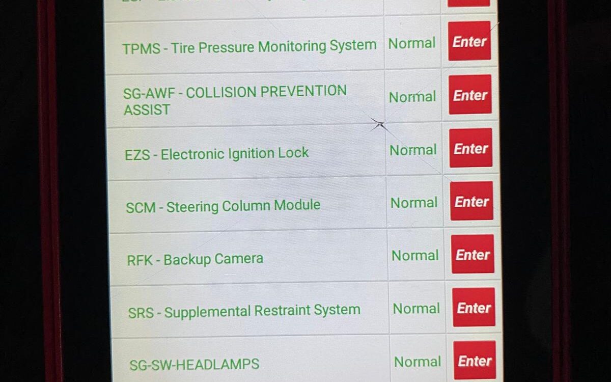 WhatsApp Image 2024-12-16 at 11.39.54 AM