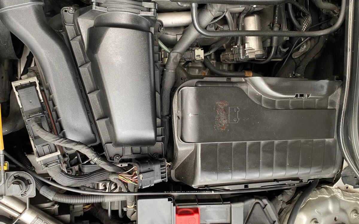 WhatsApp Image 2024-12-16 at 11.39.55 AM (2)