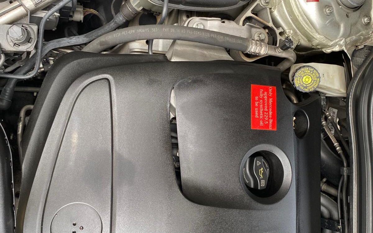 WhatsApp Image 2024-12-16 at 11.39.55 AM (3)