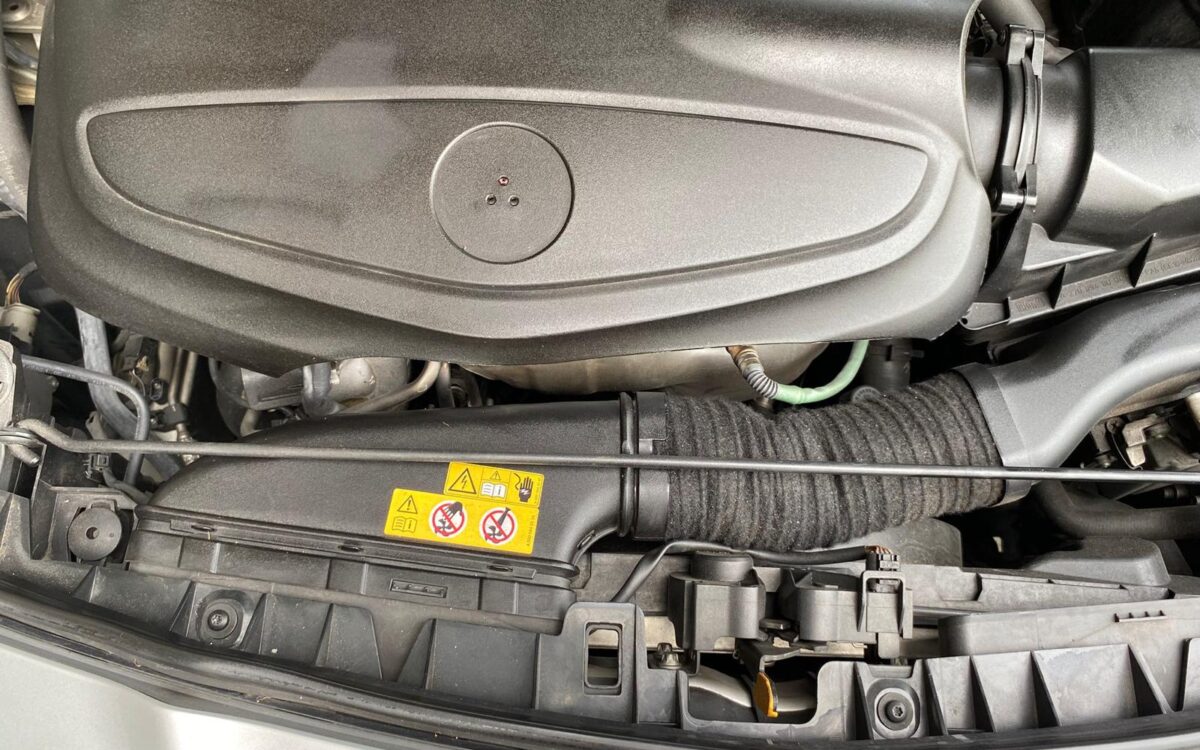 WhatsApp Image 2024-12-16 at 11.39.56 AM