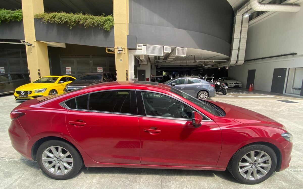 WhatsApp Image 2024-12-16 at 12.28.41 PM