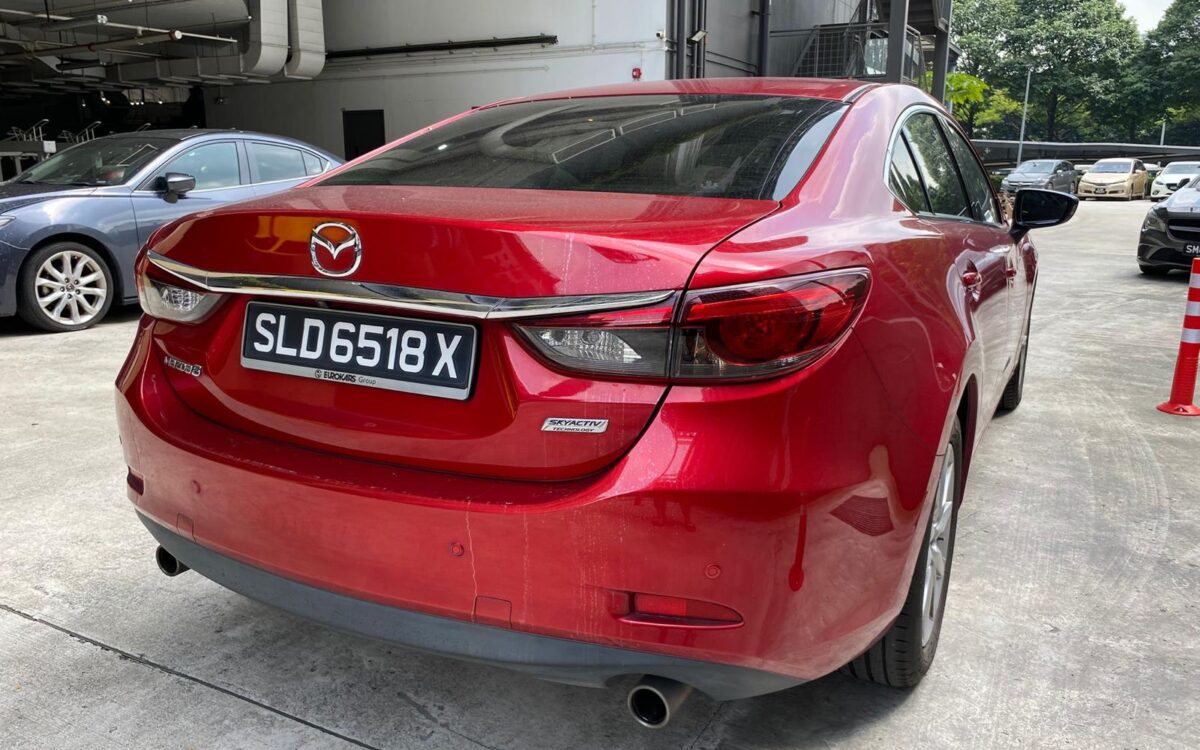 WhatsApp Image 2024-12-16 at 12.28.42 PM