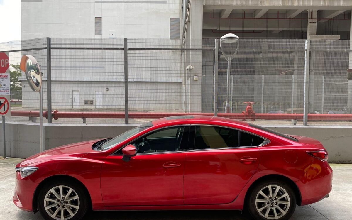 WhatsApp Image 2024-12-16 at 12.28.43 PM (1)