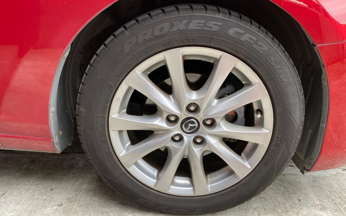 WhatsApp Image 2024-12-16 at 12.28.54 PM (1)