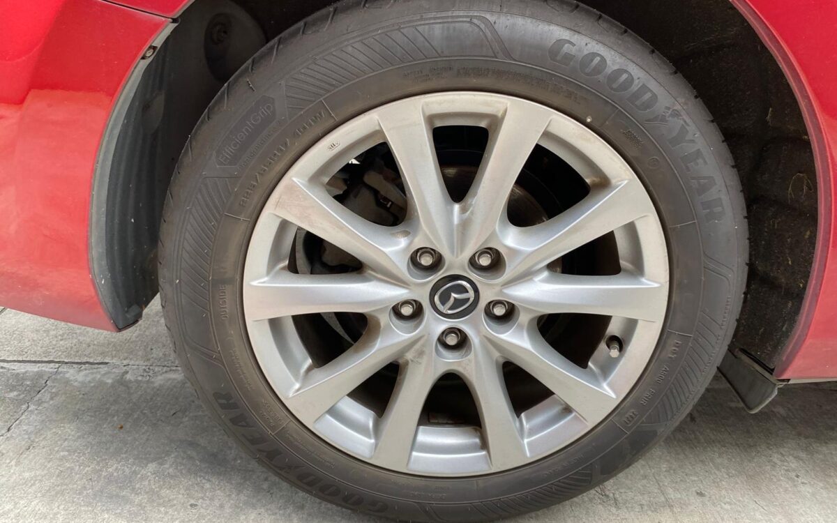 WhatsApp Image 2024-12-16 at 12.28.54 PM