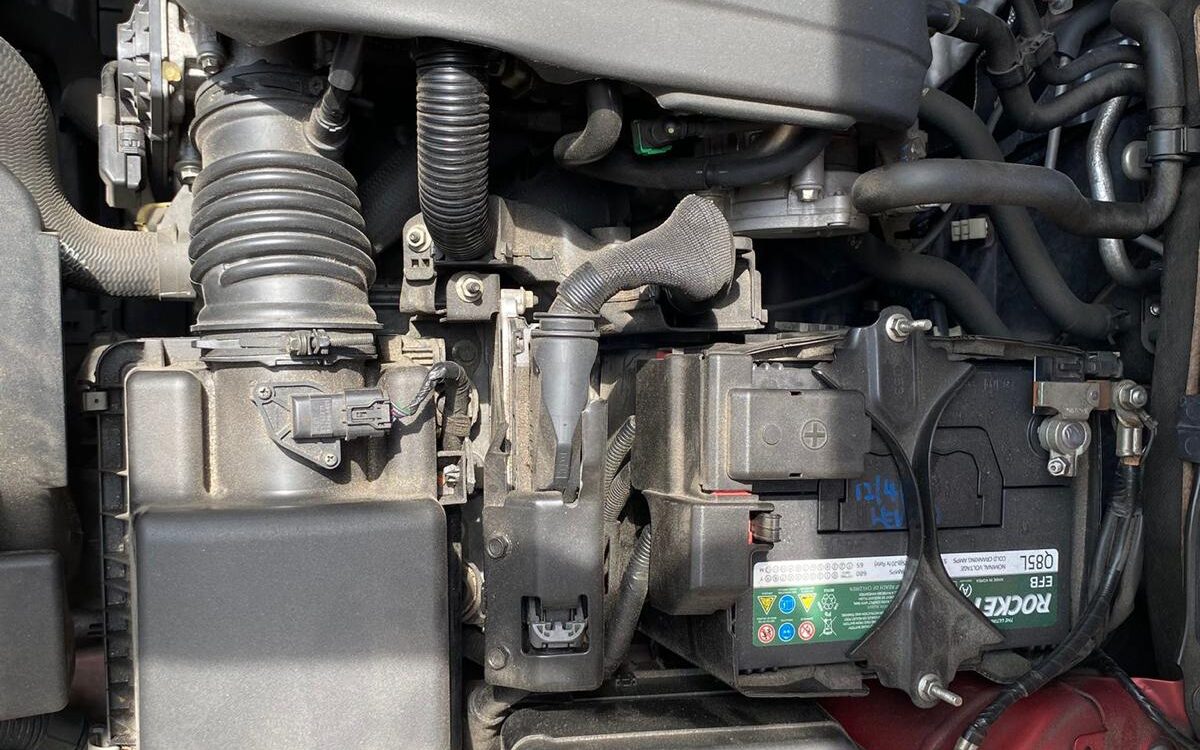 WhatsApp Image 2024-12-16 at 12.28.55 PM (1)