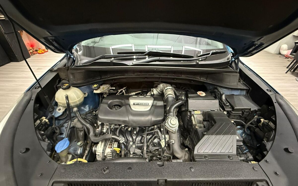 WhatsApp Image 2024-12-23 at 4.21.24 PM (3)