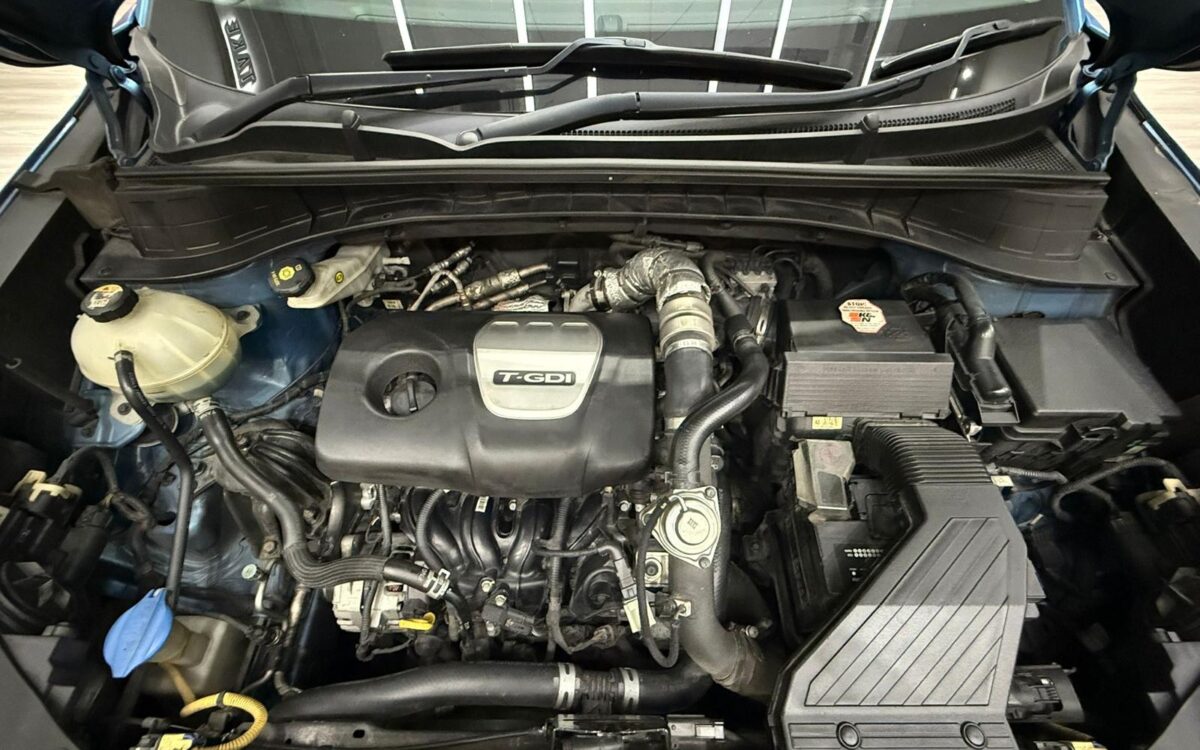 WhatsApp Image 2024-12-23 at 4.21.24 PM (4)