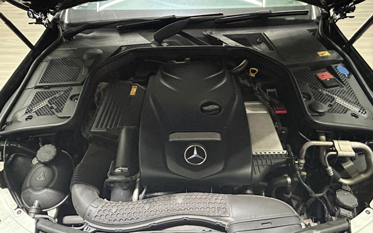 WhatsApp Image 2024-12-23 at 5.03.00 PM (3)