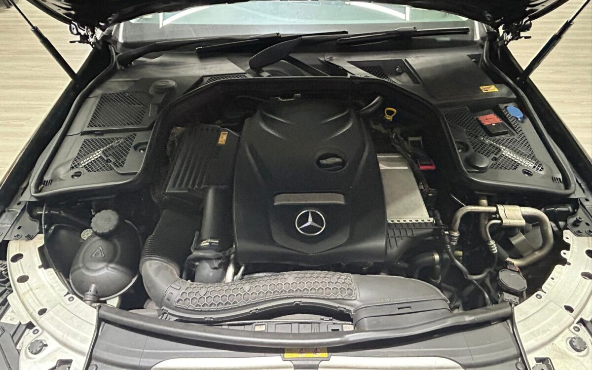 WhatsApp Image 2024-12-23 at 5.03.01 PM