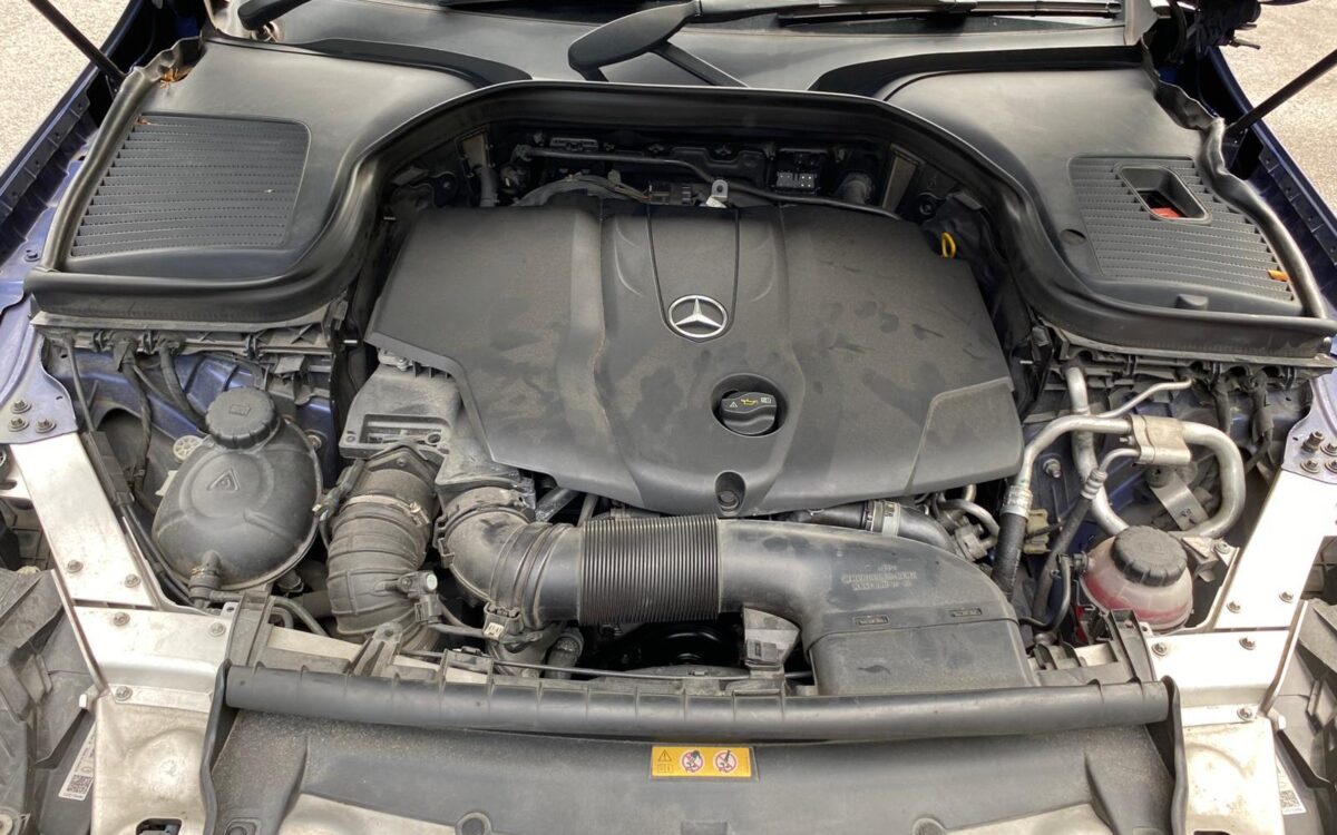 WhatsApp Image 2025-01-06 at 11.18.15 PM (1)