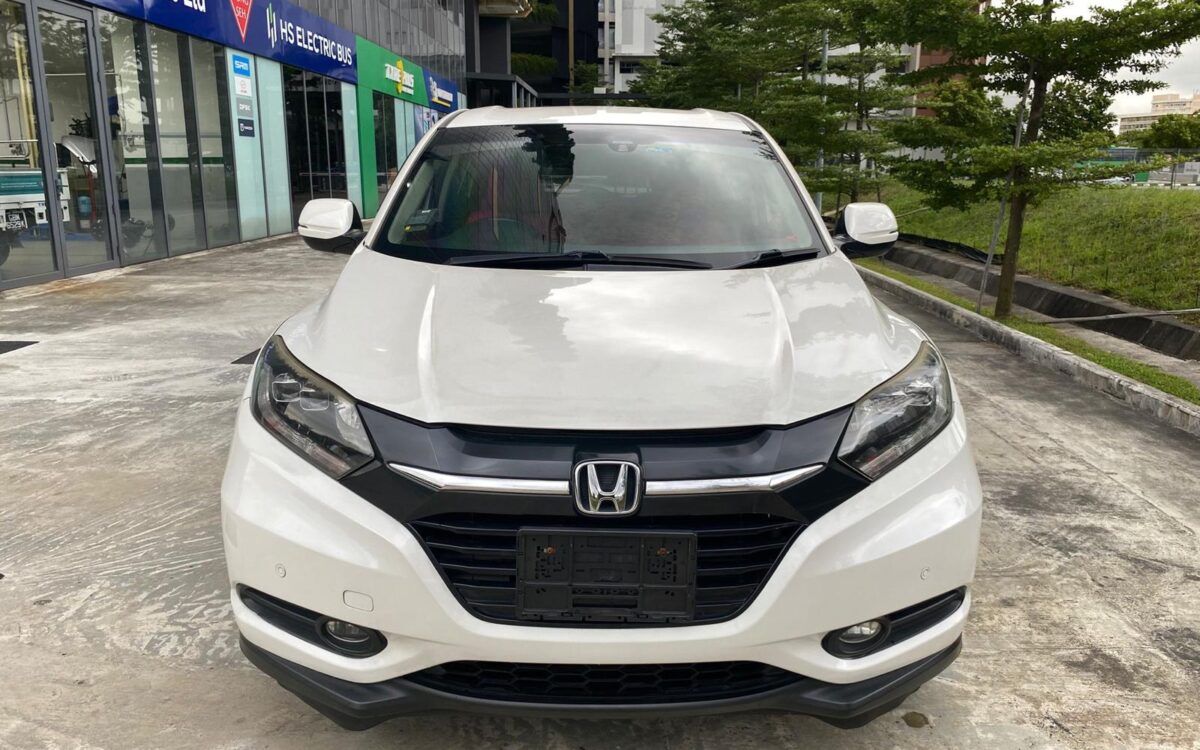 WhatsApp Image 2025-02-11 at 8.20.16 PM